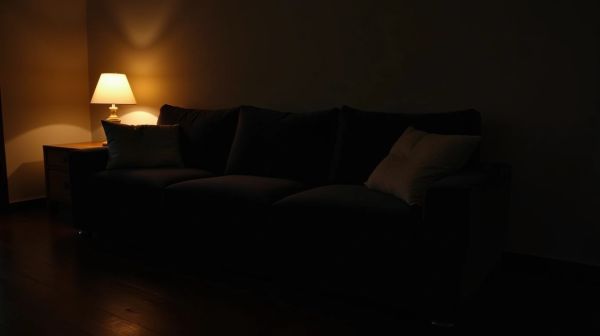 Un bout de canapé noir pour sublimer votre décoration